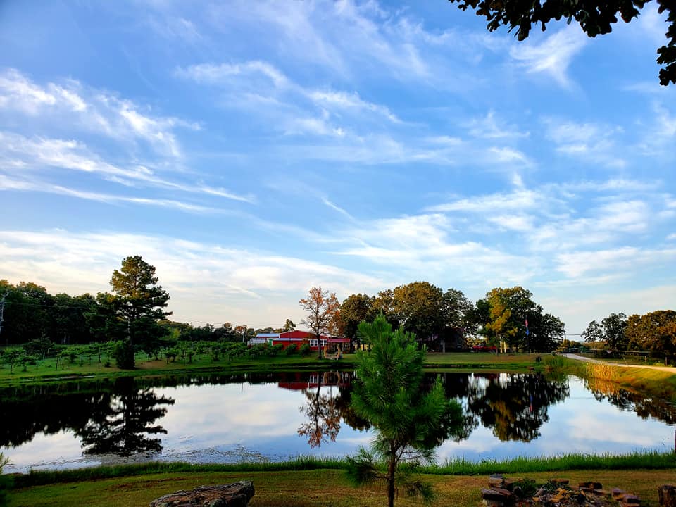 240893484 4913147502046197 5367020074351356025 n 2