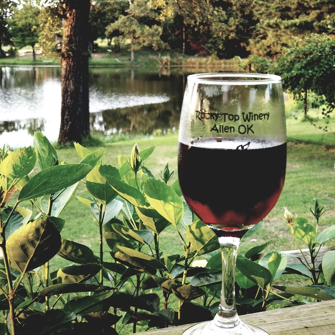 69602322 10217850970924129 3151295926883057664 n