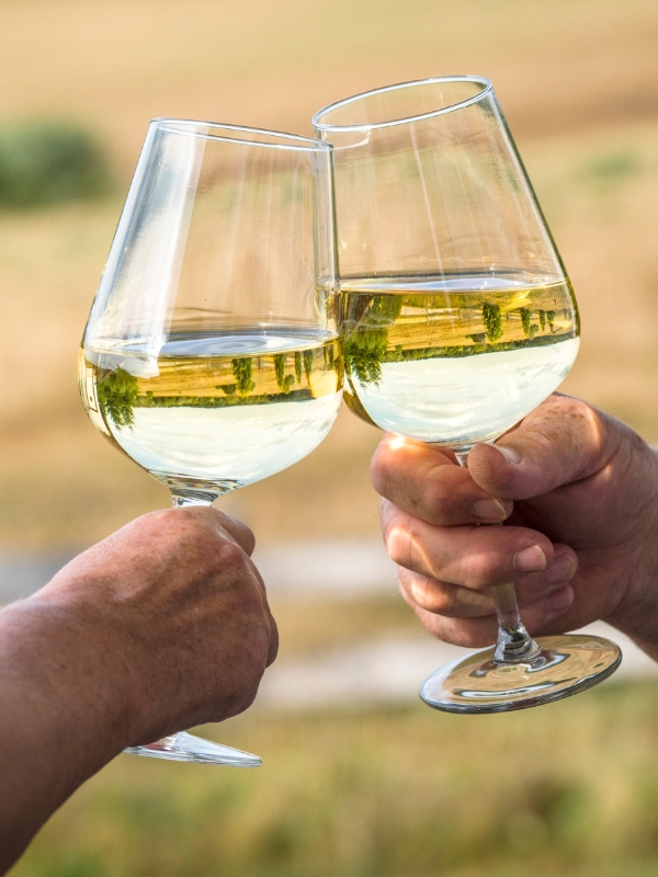 couple cheers each other with white wine